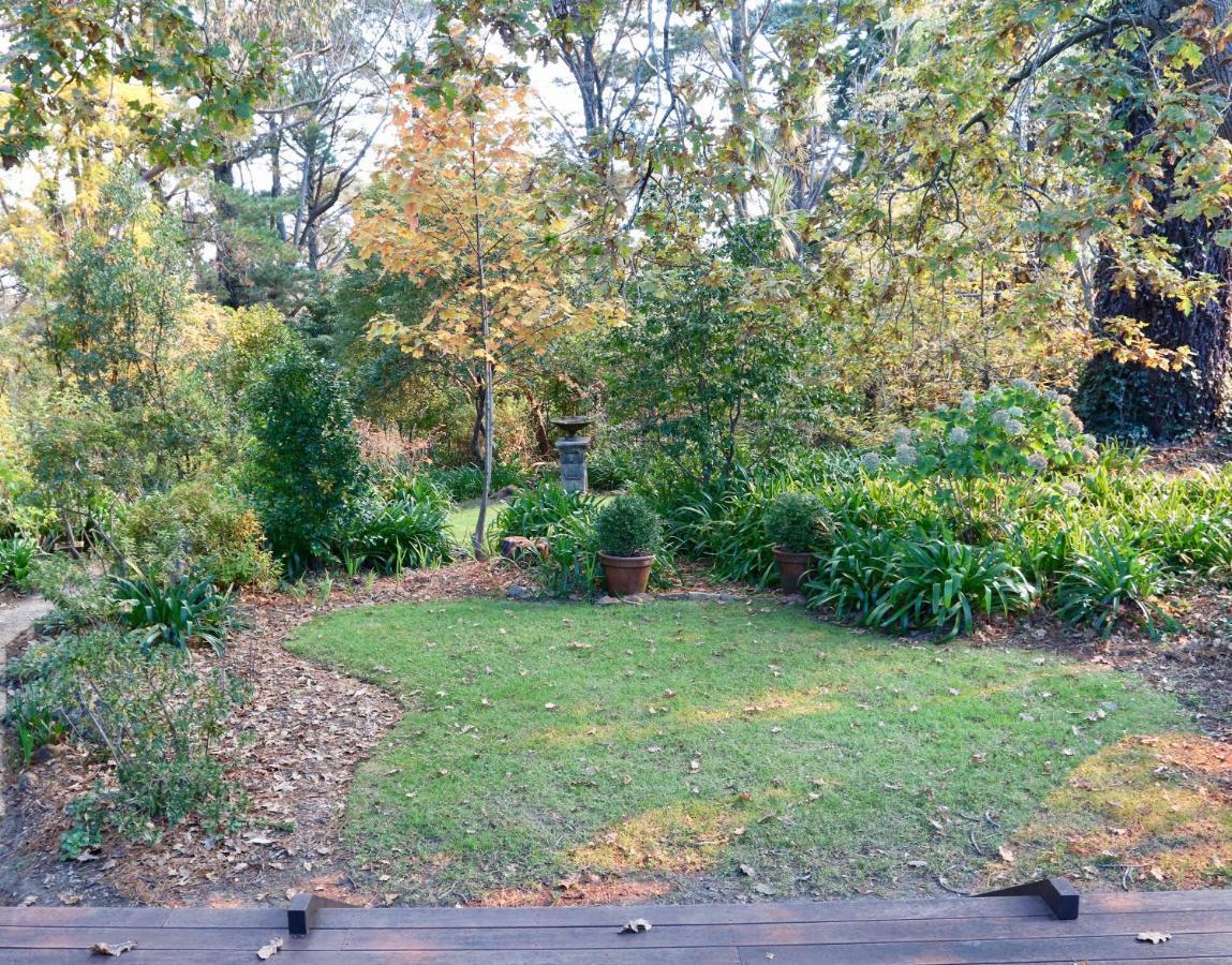 Poet'S Cottage - Fireplace, Close To Treks Wentworth Falls Exterior foto